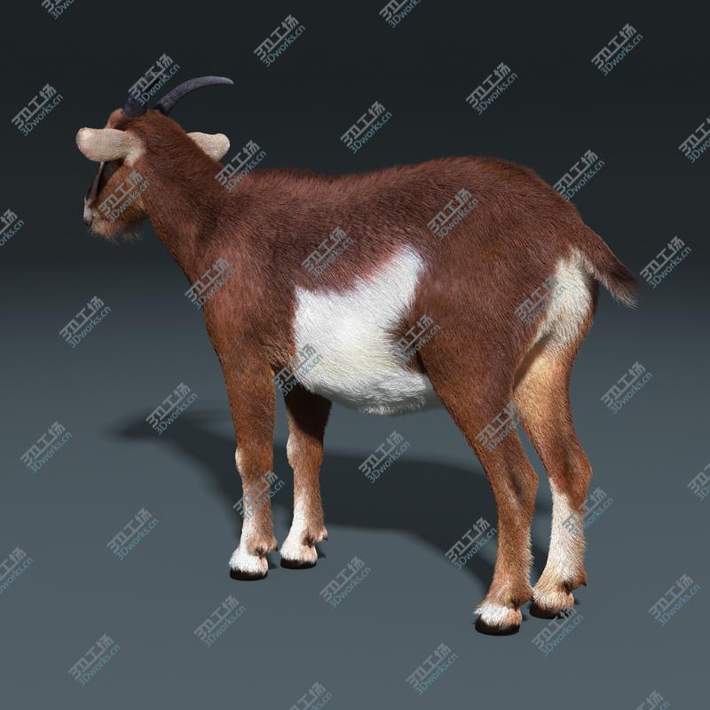 images/goods_img/20210319/Goat (FUR)/5.jpg